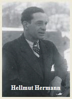 Hellmut Hermann
