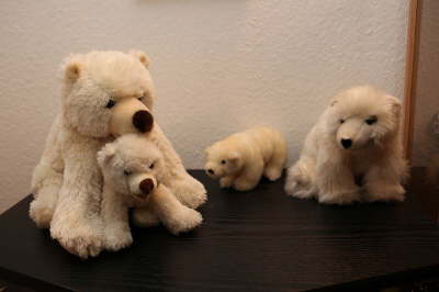 Eisbärengruppe