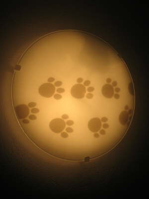 B�rentazenlampe